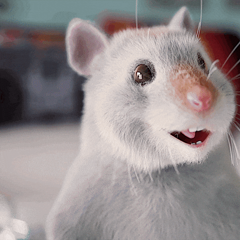 4 Hamster Dance Circling Hands Stomp Side To Side GIF