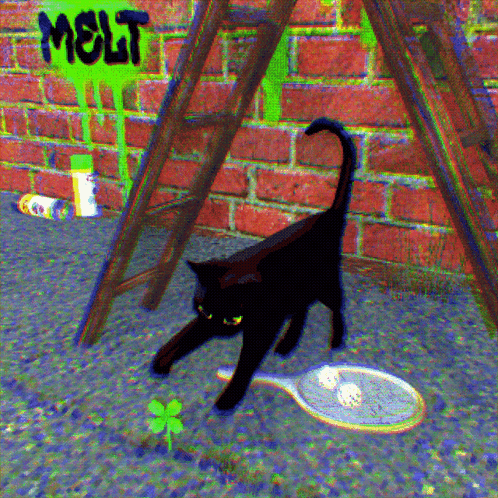 4 Leaf Clover Little Kitty Big City GIF