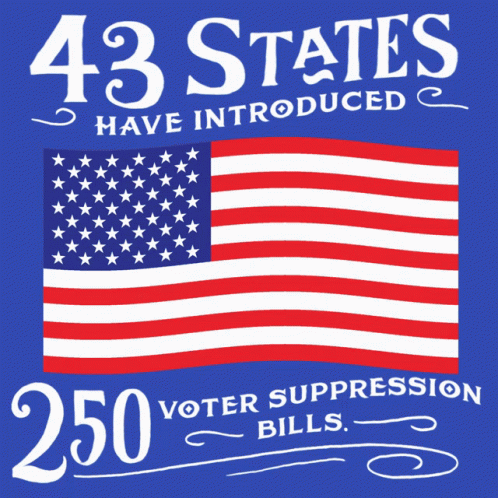 43 States Have Introduced 250 Voter Suppression Bills