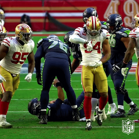 49ers Happy Regular Season GIF