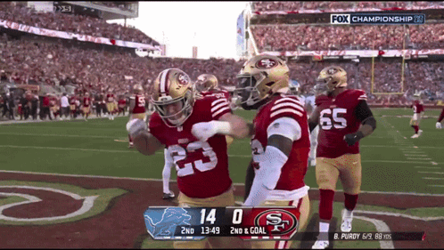 49Ers Vs Detroit Lions Football Game GIF