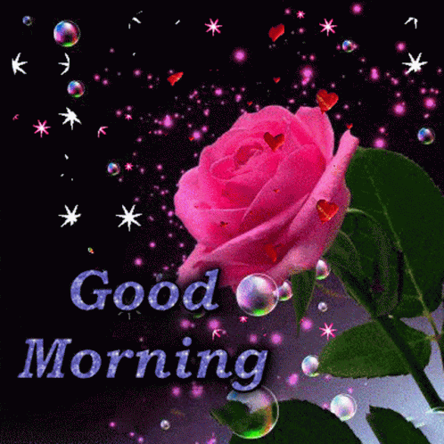 New Good Morning Rose Flower GIF