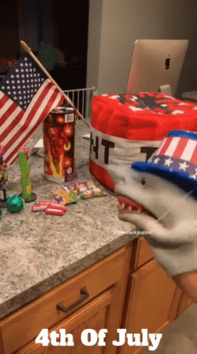 4th Of July Funny Puppet Shark American Flag GIF