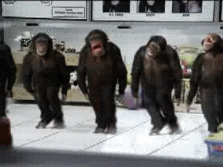 5 Monkey Foot Dancing Dance Fast Speed GIF