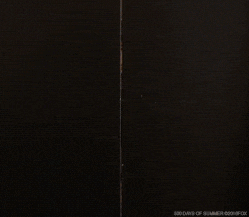 500 Days Of Summer Tom Hansen Inside Elevator GIF