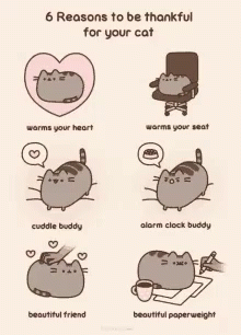 6 Reasons To Be Thankful For Your Cat Includes Cuddle Buddy And Alarm Clock Buddy GIF