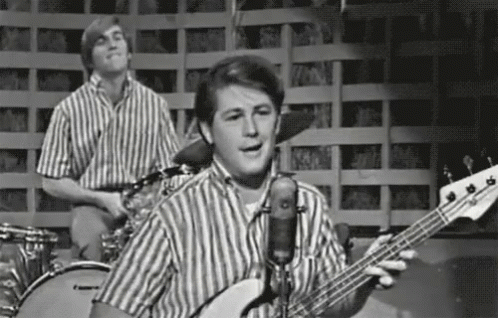60s Beachboys Boy Band GIF