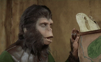 60s Planet Of The Apes GIF