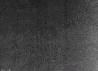 666 Film Numbers GIF