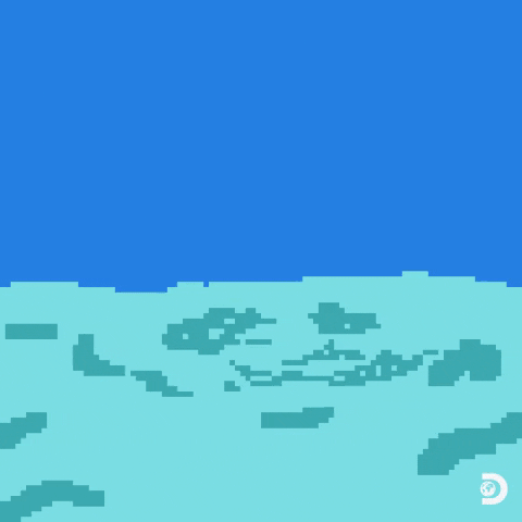 8-bit Shark During Shark Week