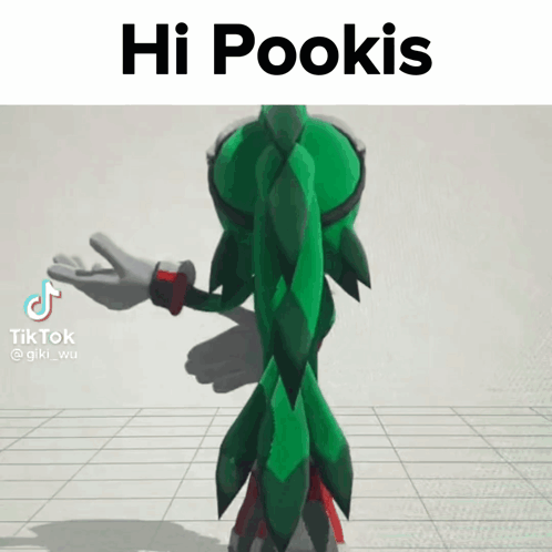A 3D Model Of A Cartoon Character With The Words Hi Pookis Above It GIF