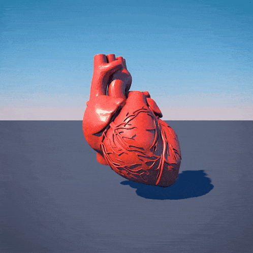 A 3D Model Of A Human Heart On A Blue Background GIF