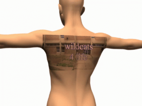 a 3d model of a person with the words wildcats 4 life written on their back