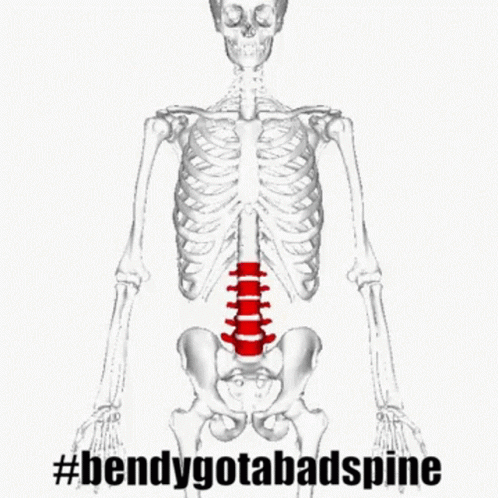 A 3D Model Of A Skeleton With A Red Spine GIF