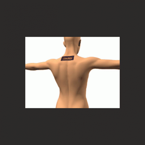 A 3D Model Of A Woman 'S Back With A Sticker On It That Says ' Abercrombie & Fitch ' GIF