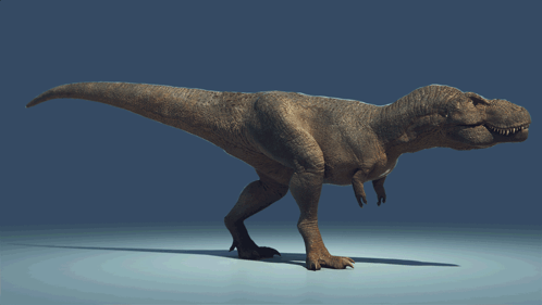 A 3D Rendering Of A T-Rex Dinosaur Walking On A Blue Surface GIF