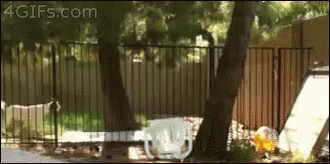 A 4Gifs.com Animated Image Of A Fenced In Area GIF