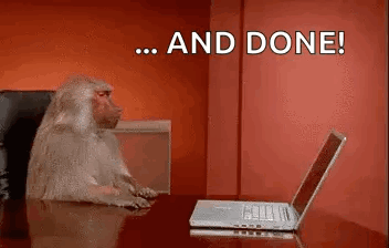 A Baboon Is Sitting At A Desk With A Laptop Computer . GIF