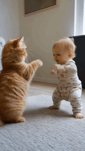 Baby And Cat Playing On Floor GIF