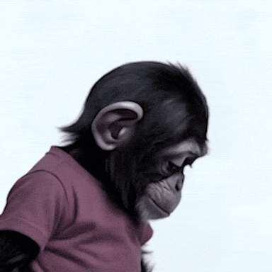 Baby Chimpanzee In Purple Shirt Looking Down GIF