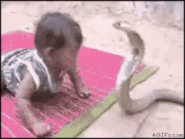 A Baby Crawling Next To A Snake On A Pink Mat GIF