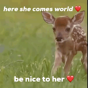 A Baby Deer Is Running In The Grass With The Words Here She Comes World Be Nice To Her . GIF