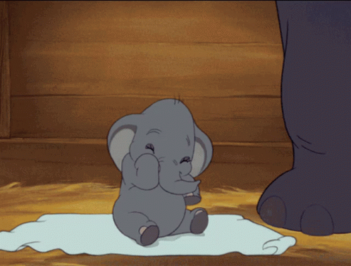 A Baby Elephant Sitting On A Towel With Its Trunk Up GIF