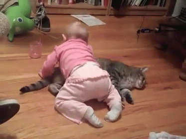 A Baby Is Crawling On Top Of A Cat On The Floor . GIF