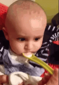 A Baby Is Eating Food With A Spoon And Looking At The Camera . GIF