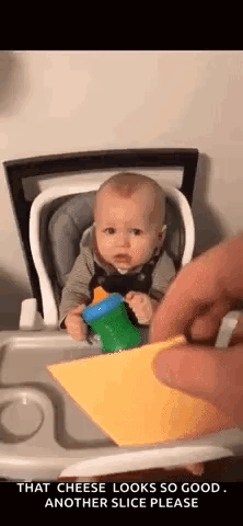 A Baby Is Sitting In A High Chair While A Person Holds A Piece Of Cheese . GIF