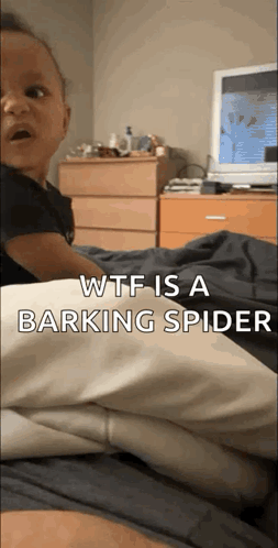 A Baby Is Sitting On A Bed With The Words Wtf Is A Barking Spider GIF