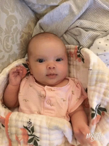 A Baby Is Wrapped In A Blanket And Looking At The Camera While Laying On A Bed . GIF