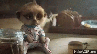 A Baby Meerkat Is Sitting On A Table Next To A Cup Of Coffee And A Jar Of Cereal . GIF