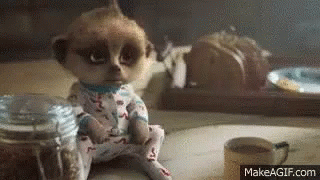 A Baby Meerkat Is Sitting On A Table Next To A Cup Of Coffee And A Jar . GIF