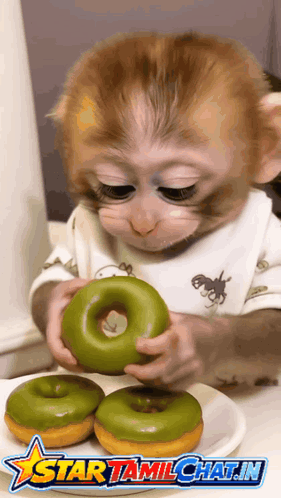 A Baby Monkey Is Eating A Green Donut On A Plate With Star Tamilchat.in Written On The Bottom GIF