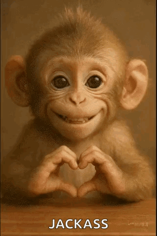 A Baby Monkey Is Making A Heart Shape With Its Hands And Smiling . GIF