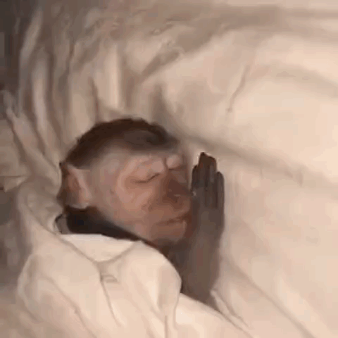 A Baby Monkey Is Sleeping On A Bed With Its Hands On Its Face . GIF