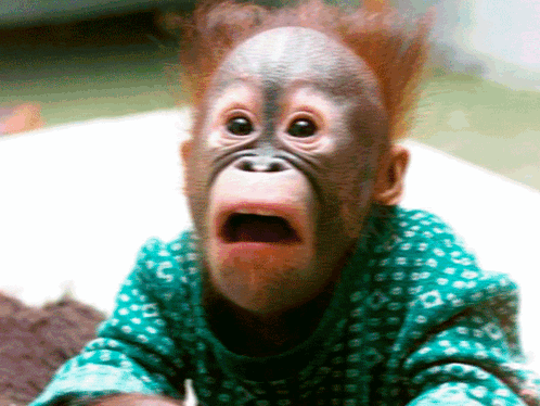 A Baby Monkey Is Wearing A Green Polka Dot Shirt And Making A Surprised Face GIF