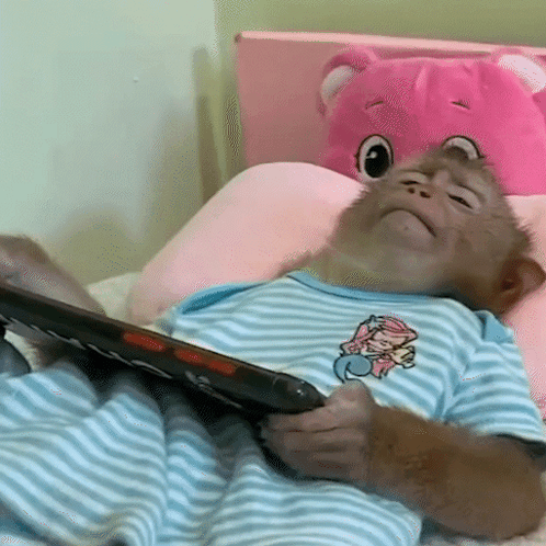 A Baby Monkey Laying On A Bed With A Book GIF