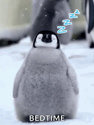 A Baby Penguin Is Sleeping In The Snow While Another Penguin Looks On . GIF
