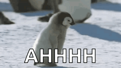 A Baby Penguin Is Standing In The Snow With The Word Ahhhh Written Above It . GIF