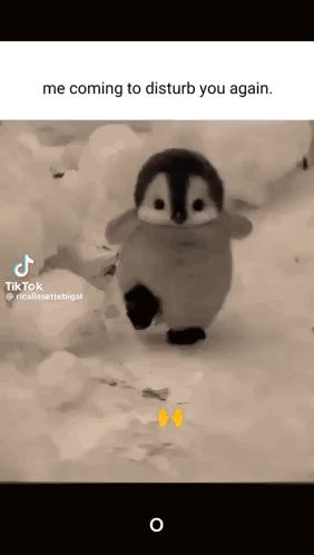 A Baby Penguin Is Walking In The Snow And Says `` Me Coming To Disturb You Again '' . GIF