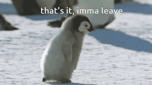 A Baby Penguin Standing In The Snow With The Words That 'S It Imma Leave GIF