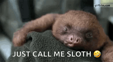 A Baby Sloth Is Laying On Top Of A Blanket And Says `` Just Call Me Sloth '' . GIF