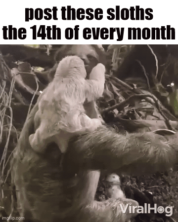 A Baby Sloth Is Sitting On A Sloth 'S Back . GIF