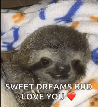 A Baby Sloth Is Wrapped In A Blanket And Smiling . GIF