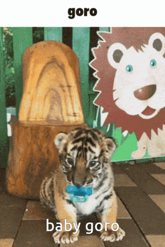 A Baby Tiger Wearing A Pacifier Is Sitting In Front Of A Lion GIF