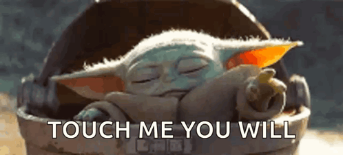 a baby yoda is sleeping in a bucket with the words `` touch me you will '' written on it .