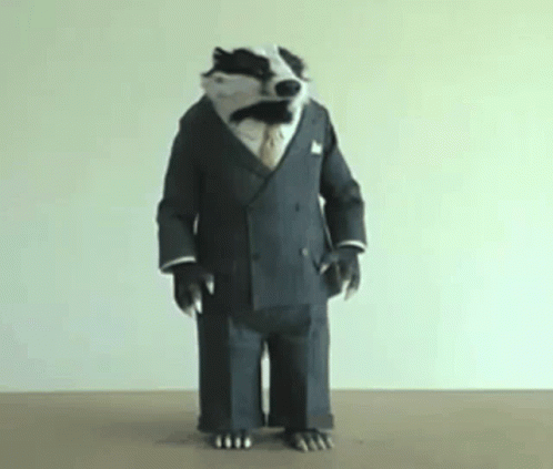Badger In Suit And Tie Standing On Floor GIF