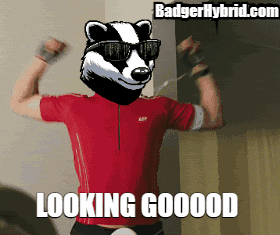 A Badger Wearing Sunglasses And A Red Shirt Is Flexing His Muscles And Says Looking Goodd GIF